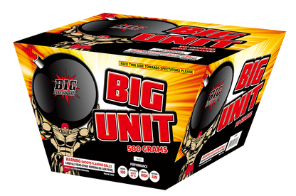 BIG UNIT