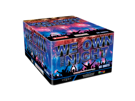 WE OWN THE NIGHT
