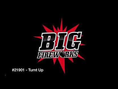 TURNT UP