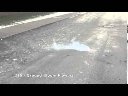 GROUND BLOOM FLOWERS