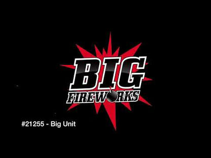 BIG UNIT