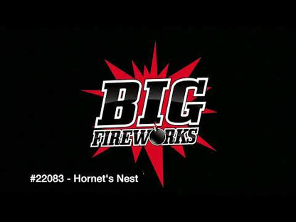 HORNETS NEST