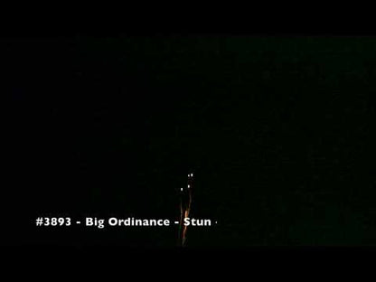 BIG ORDINANCE ASSORTMENT