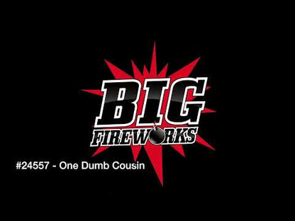 ONE DUMB COUSIN