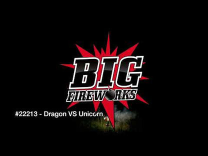 DRAGON VS UNICORN