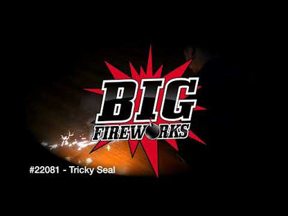 TRICKY SEAL