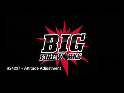 ATTITUDE ADJUSTMENT