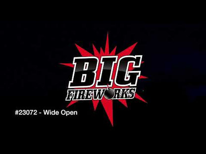 WIDE OPEN